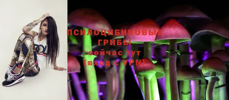 Псилоцибиновые грибы Magic Shrooms  хочу наркоту  Дубна 